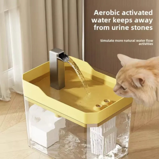 Cat Water Fountain Auto Filter Transparent Drinker USB Anti-Dry Burning Recirculate Filtering Water Dispenser with Pump