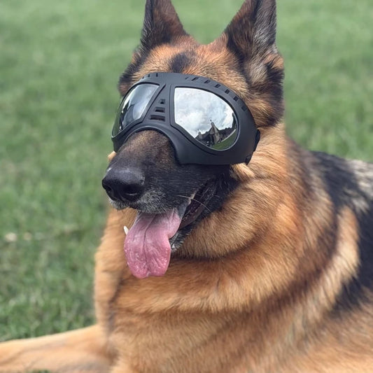 Gafas para Mascotas, Perros Medianos y Grandes, Protección contra Nieve, Bloqueo UV, Resistentes al Viento, Gafas de Sol, Máscara, Correas Ajustables