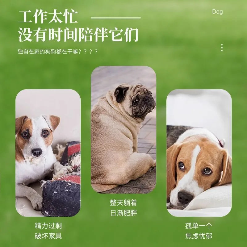Máquina Lanzadora de Pelotas de Tenis para Mascotas, Suministros para Perros, Juguete Interactivo de Entrenamiento al Aire Libre, Lanzador Automático de Comida