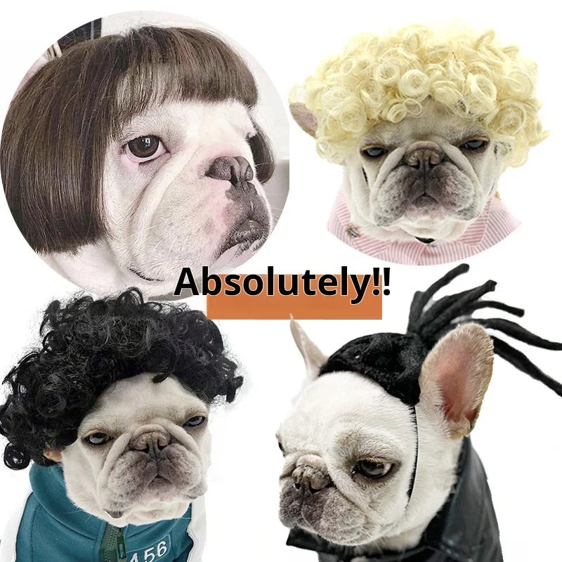 Pelucas para mascotas, pelo rizado, pelo liso, suministros para mascotas, accesorios para Halloween, gato
