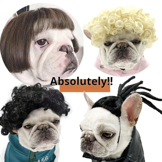 Pelucas para mascotas, pelo rizado, pelo liso, suministros para mascotas, accesorios para Halloween, gato