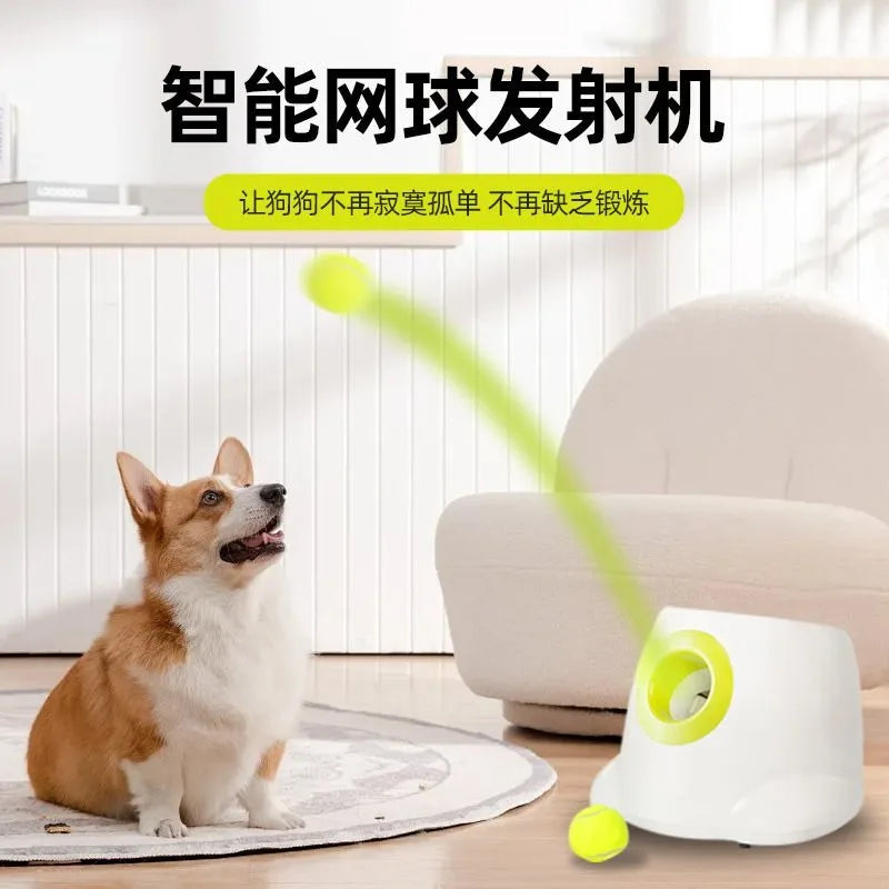 Máquina Lanzadora de Pelotas de Tenis para Mascotas, Suministros para Perros, Juguete Interactivo de Entrenamiento al Aire Libre, Lanzador Automático de Comida