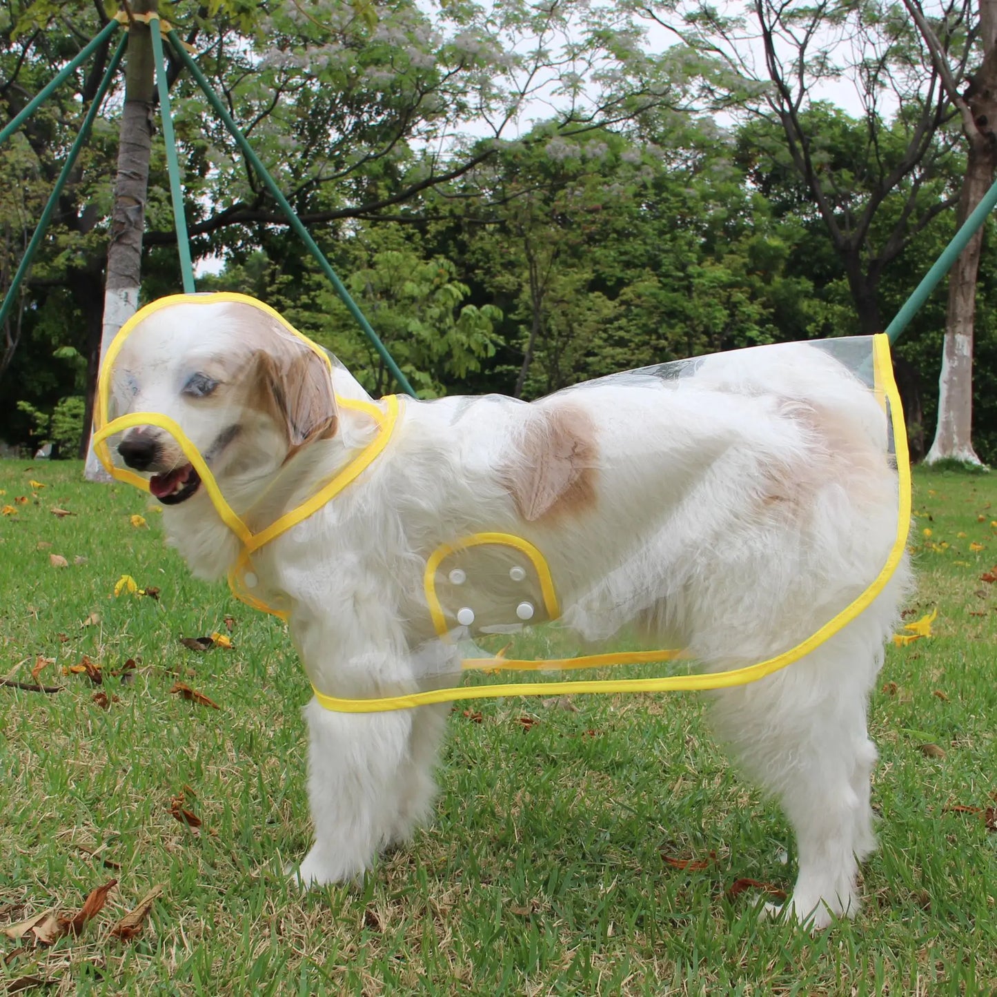 Suministros para mascotas, impermeable para perros, nuevo Poncho de plástico transparente a la moda, disfraces personalizados con borde de Color para perros grandes