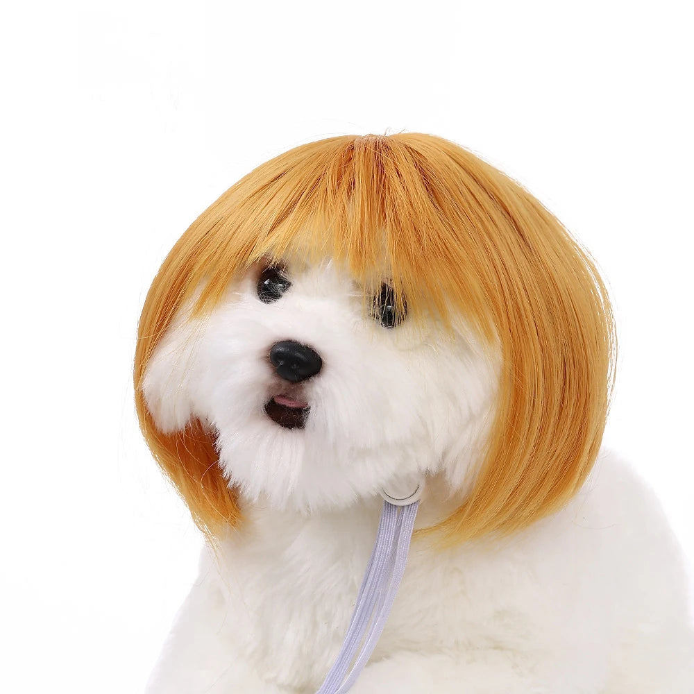 Pelucas para mascotas, pelo rizado, pelo liso, suministros para mascotas, accesorios para Halloween, gato