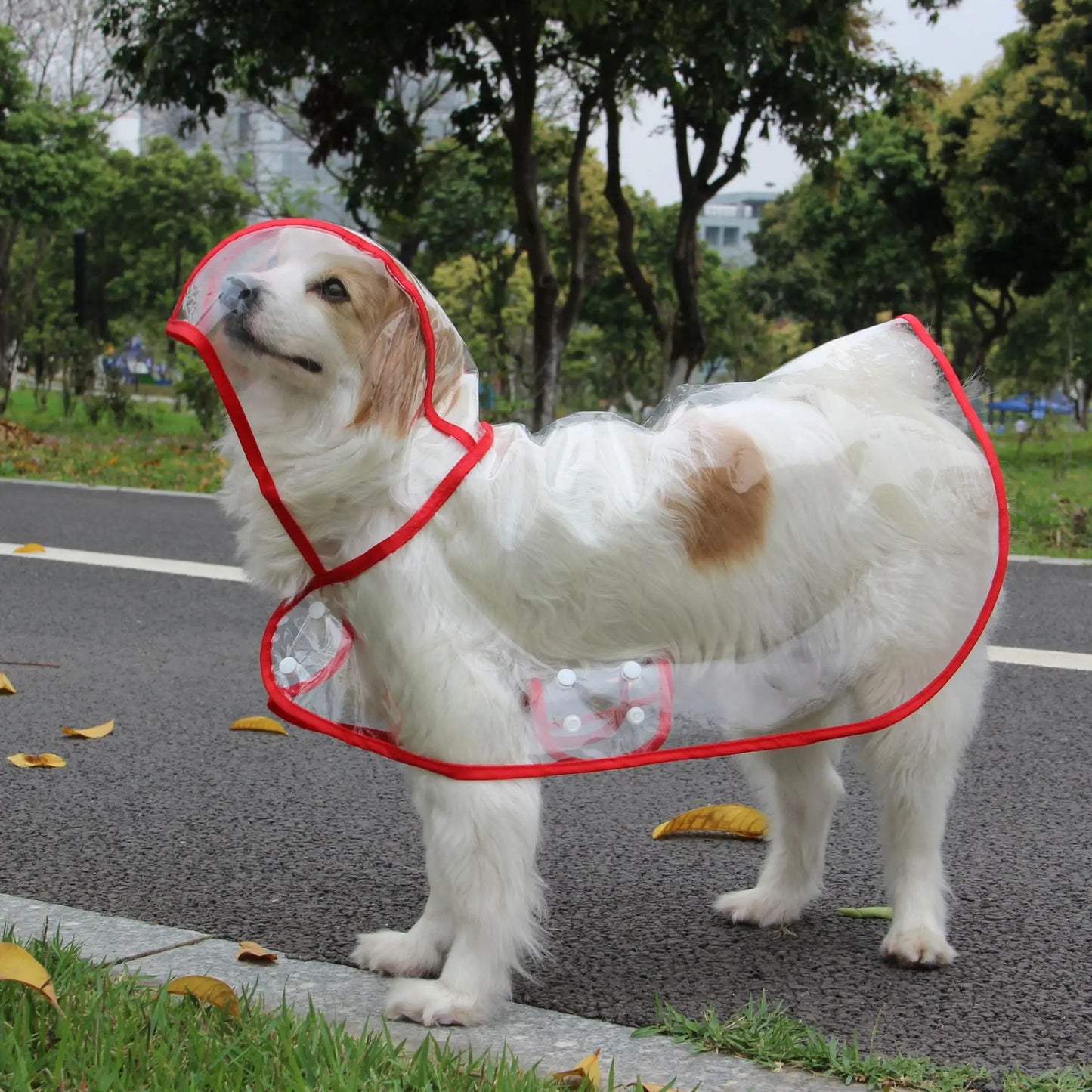 Suministros para mascotas, impermeable para perros, nuevo Poncho de plástico transparente a la moda, disfraces personalizados con borde de Color para perros grandes