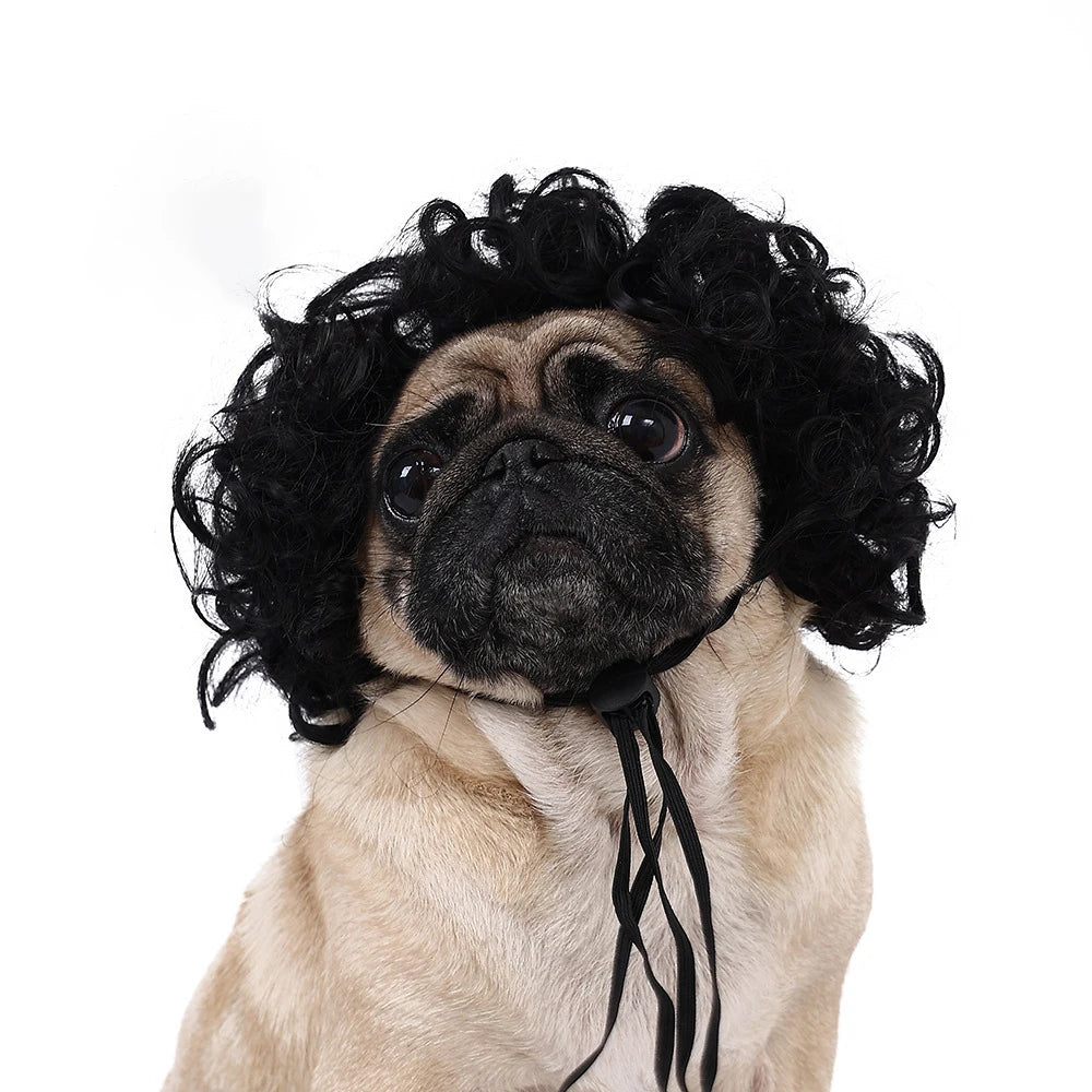 Pelucas para mascotas, pelo rizado, pelo liso, suministros para mascotas, accesorios para Halloween, gato