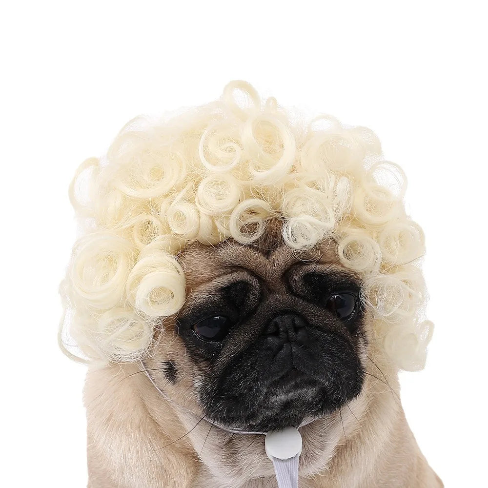 Pelucas para mascotas, pelo rizado, pelo liso, suministros para mascotas, accesorios para Halloween, gato