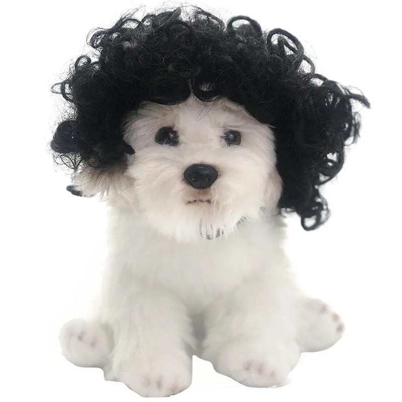 Pelucas para mascotas, pelo rizado, pelo liso, suministros para mascotas, accesorios para Halloween, gato