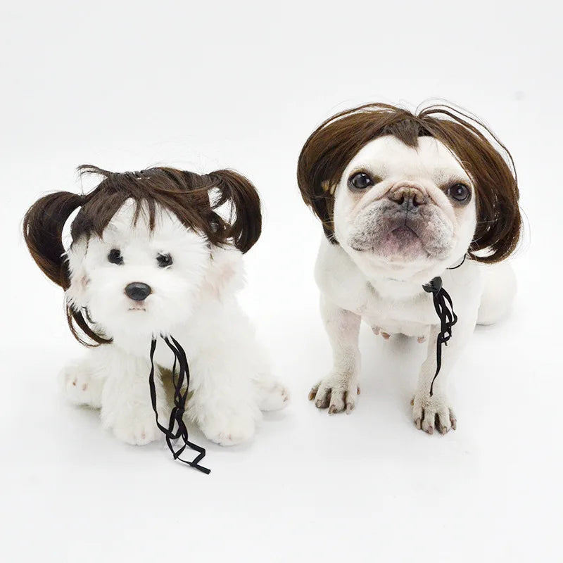 Pelucas para mascotas, pelo rizado, pelo liso, suministros para mascotas, accesorios para Halloween, gato