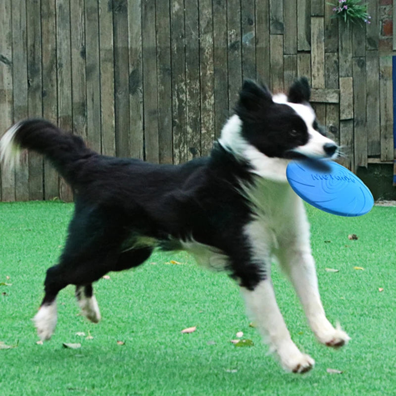 Juguete de entrenamiento para perros grandes TPR, discos voladores, disco interactivo para mascotas, accesorios para mascotas pequeñas y grandes, Collie, Labrador