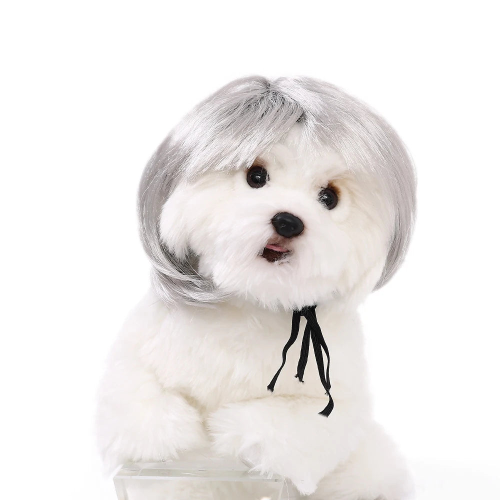 Pelucas para mascotas, pelo rizado, pelo liso, suministros para mascotas, accesorios para Halloween, gato