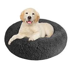 Cama Mascota